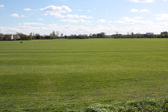 racecourse open field