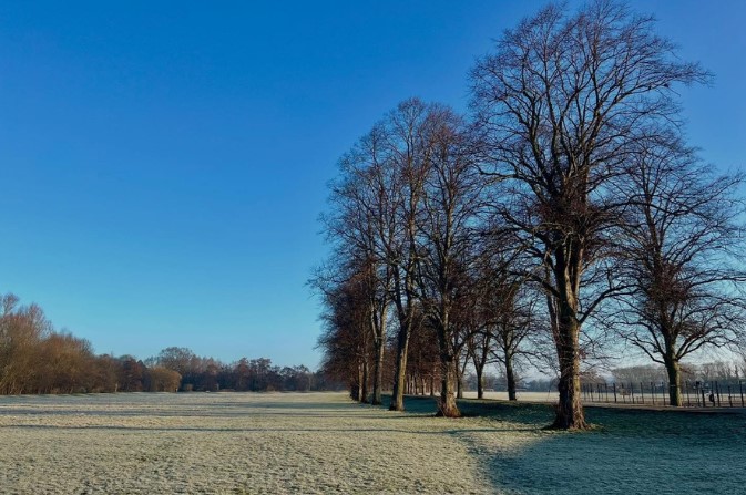 Darley Park playing fields on a sunny, frosty mornring