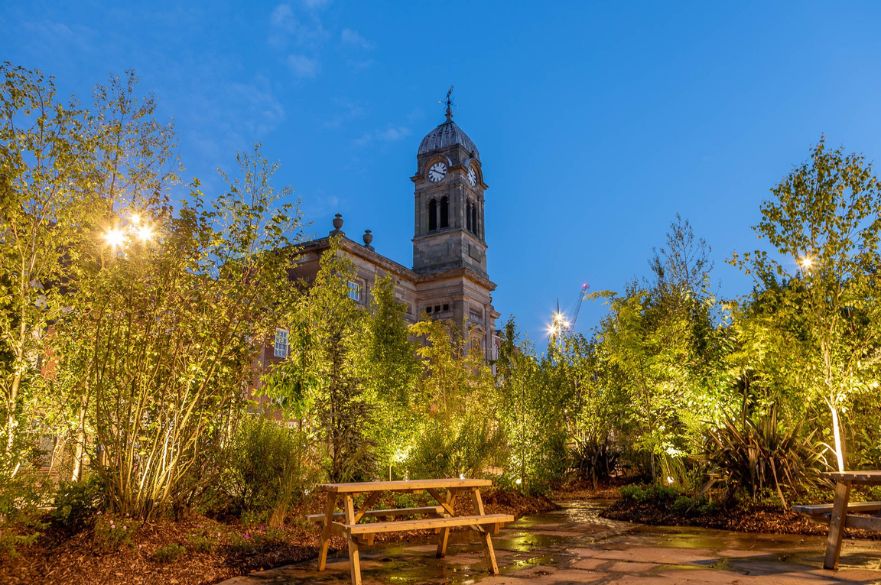 Forest for the Future at night