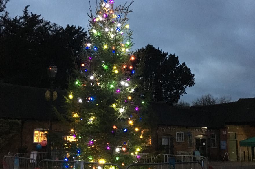 Markeaton Park christmas tree