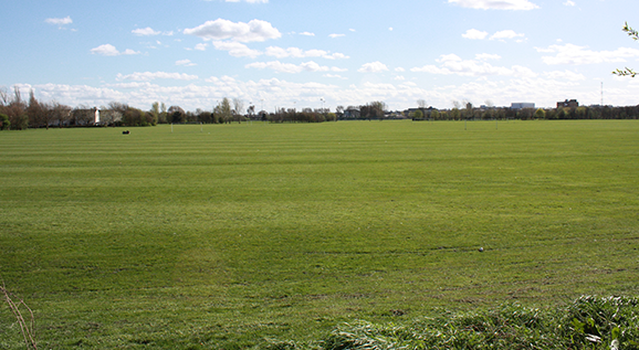 Picture of Racecourse field 