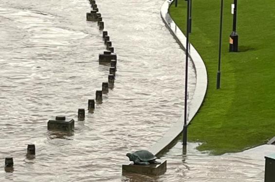 Flood wall separating river from grass area.