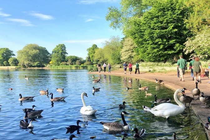 Alvaston Park lake