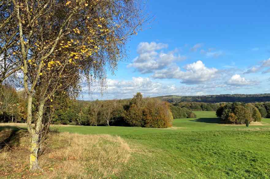 Allestree Park in December 2021 before rewilding