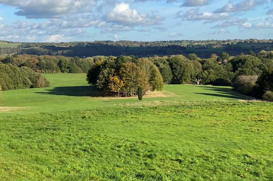 Allestree Park in November 2021 before the start of rewilding