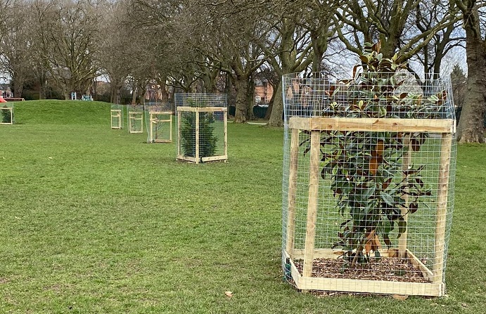 New trees have been planted at Normanton Park