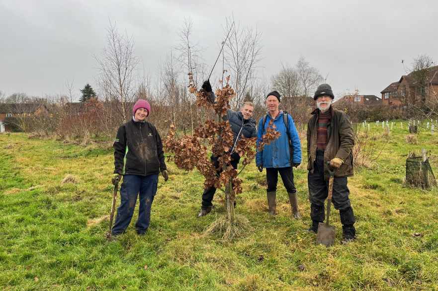 Smiling volunteers plant young Willow trees, known as Sallow whips, in the rain at Sunnydale Park.