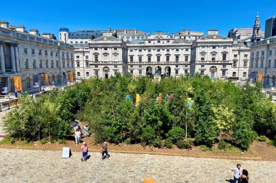 Scotscape Forest for Change in London