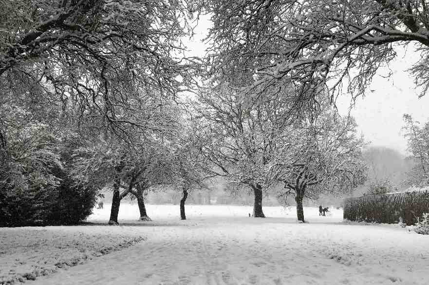 Snow in Derby January 2021