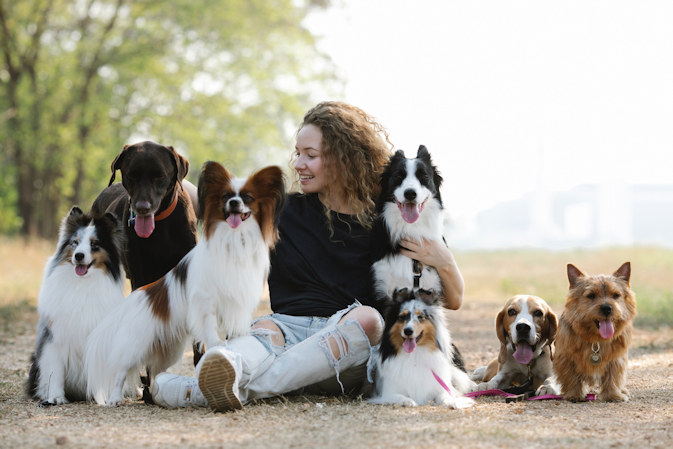 Dogs with owner in park