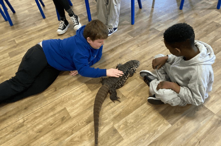 Two children stroking an animal