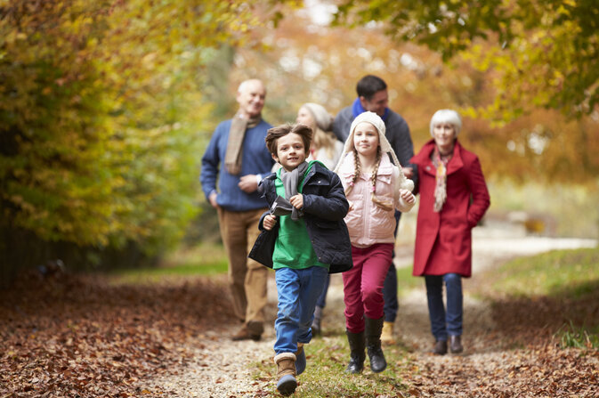 People walking in the woods 