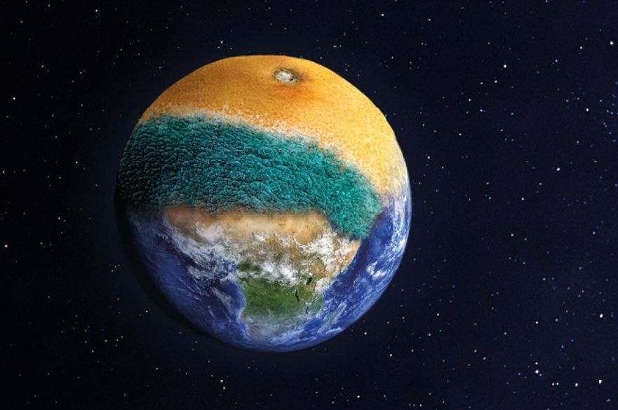 Planet earth with a mouldy orange