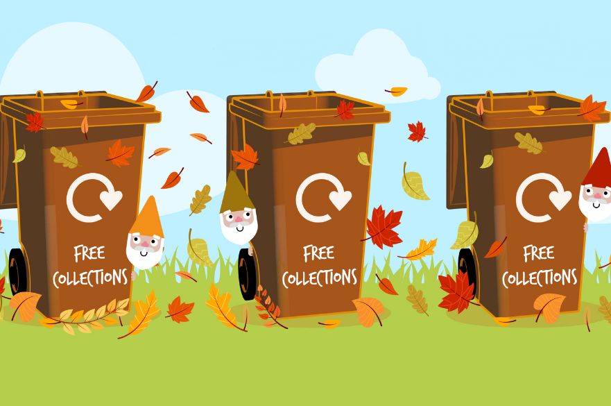 Council announces changes to brown bin collections over winter Derby