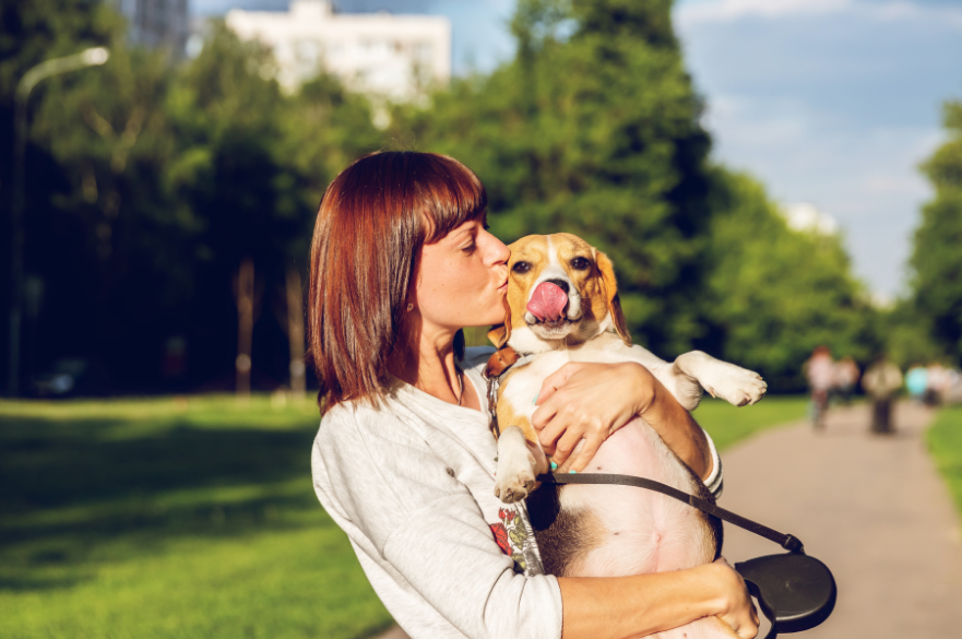 Dog and owner in a park